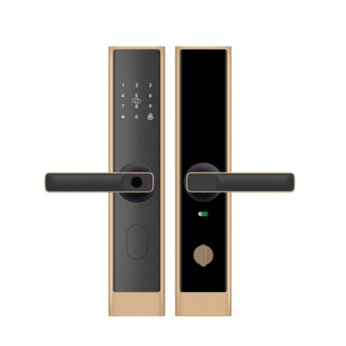 Fingerprint Smart Door Lock